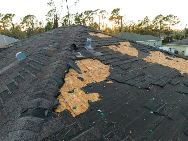 Best Slate Roofing  in Knoxvle, IL