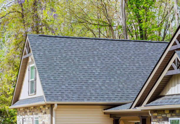 Best Sheet Metal Roofing  in Knoxvle, IL