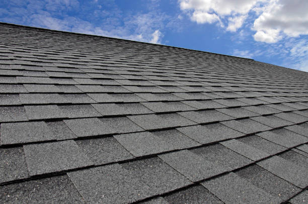 Best Roof Insulation Installation  in Knoxvle, IL
