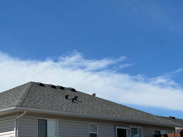 Roof Insulation in Knoxville, IL