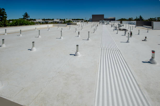 Best Roof Ventilation Installation  in Knoxvle, IL